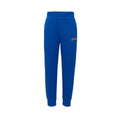 Skechers Boys Jogger - Blue