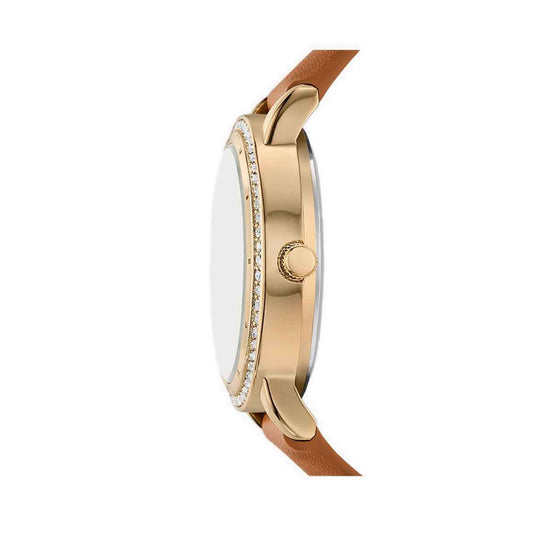 Skechers Analog Sets Women - Gold