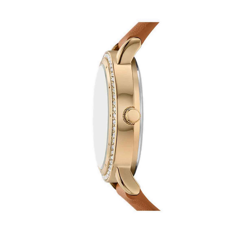 Skechers Analog Sets Women - Gold